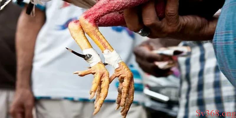 Những yếu tố được quy định trong luật