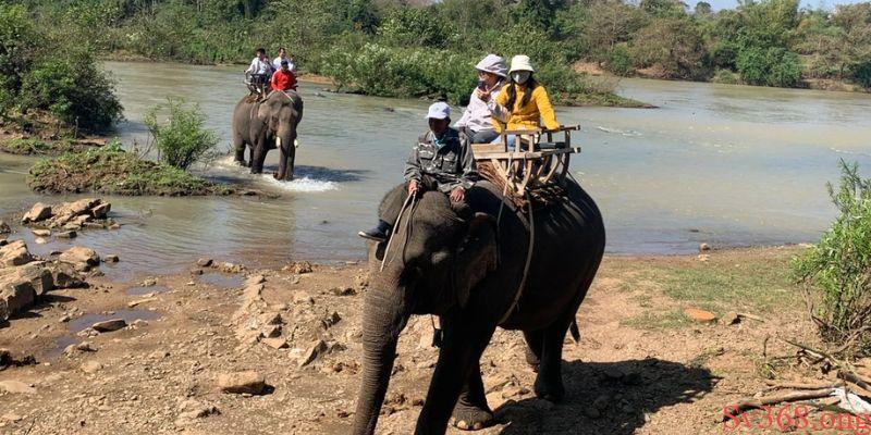 Mộng thấy mình cưỡi voi
