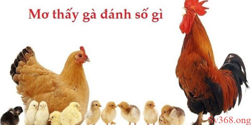 Con số may mắn của các giấc mơ về gà