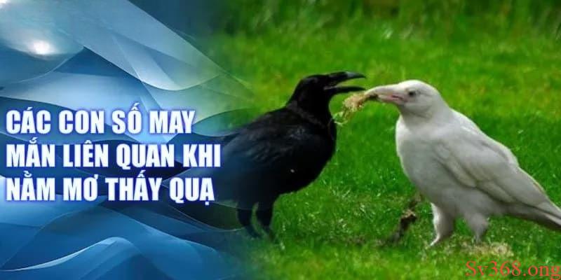 mơ thấy quạ đen