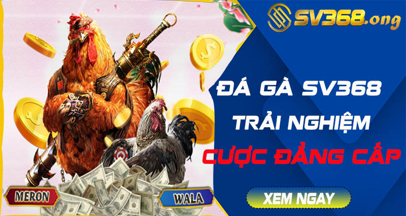 đá gà sv368
