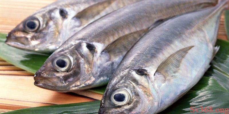 Mơ Thấy Ăn Cá - Tìm Hiểu Các Điềm Báo Đặc Biệt Từ Sv368 4 mơ thấy ăn cá