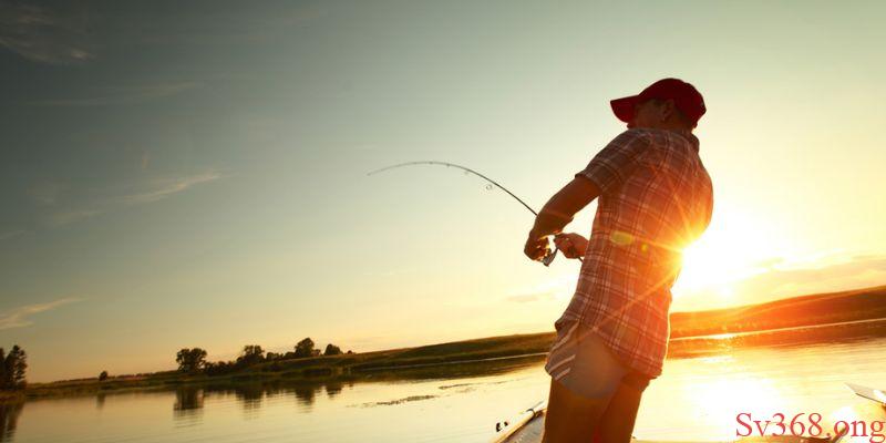 Mơ Thấy Đi Câu Cá - Thông Điệp Về Các Giấc Mơ Cùng SV368 1 Thông điệp chung về việc mơ thấy đi câu cá