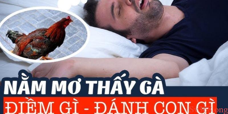 Mơ Thấy Gà Là Điềm Tốt Hay Điềm Xấu Và Con Số May Mắn 2025 4 Ý nghĩa khi mơ thấy gà tốt là điềm tốt hay xấu