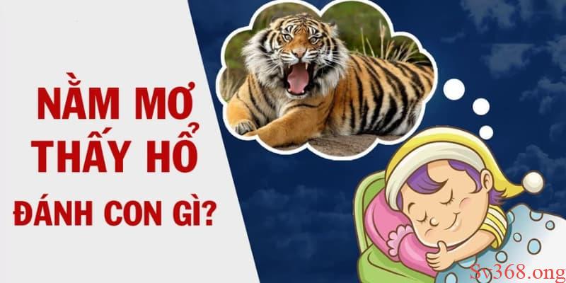 Có Điềm Báo Gì Khi Nằm Mơ Thấy Cọp? Giải Mã Giấc Mơ Sv368 7 Nằm mơ thấy cọp là điềm báo cho điều gì?
