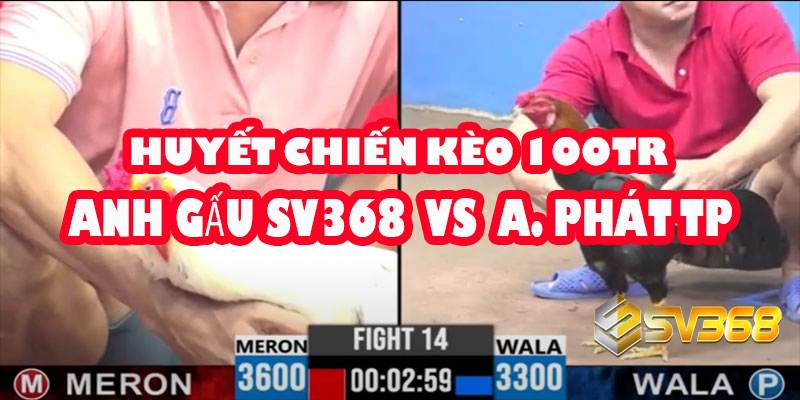 A Gấu SV368 vs A Phát T.Phố | Huyết Chiến Kèo 100 Triệu